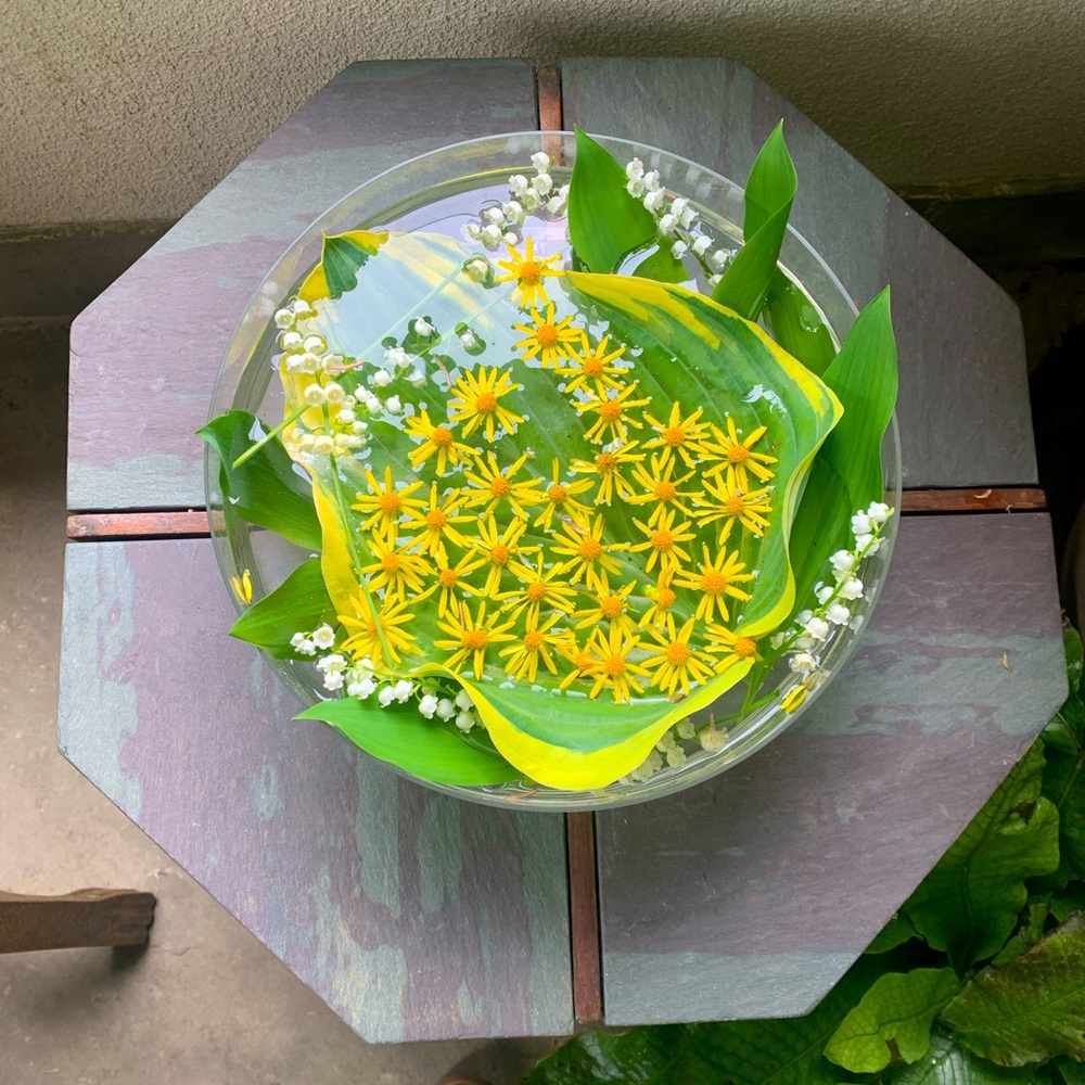 Meet your posher, Maya